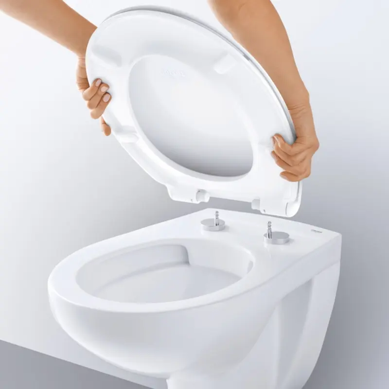 2 Grohe toilet.jpg